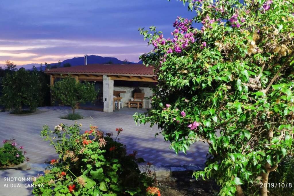 Stonehouse Olivelia - Afrathias Beach Tympaki Exterior photo